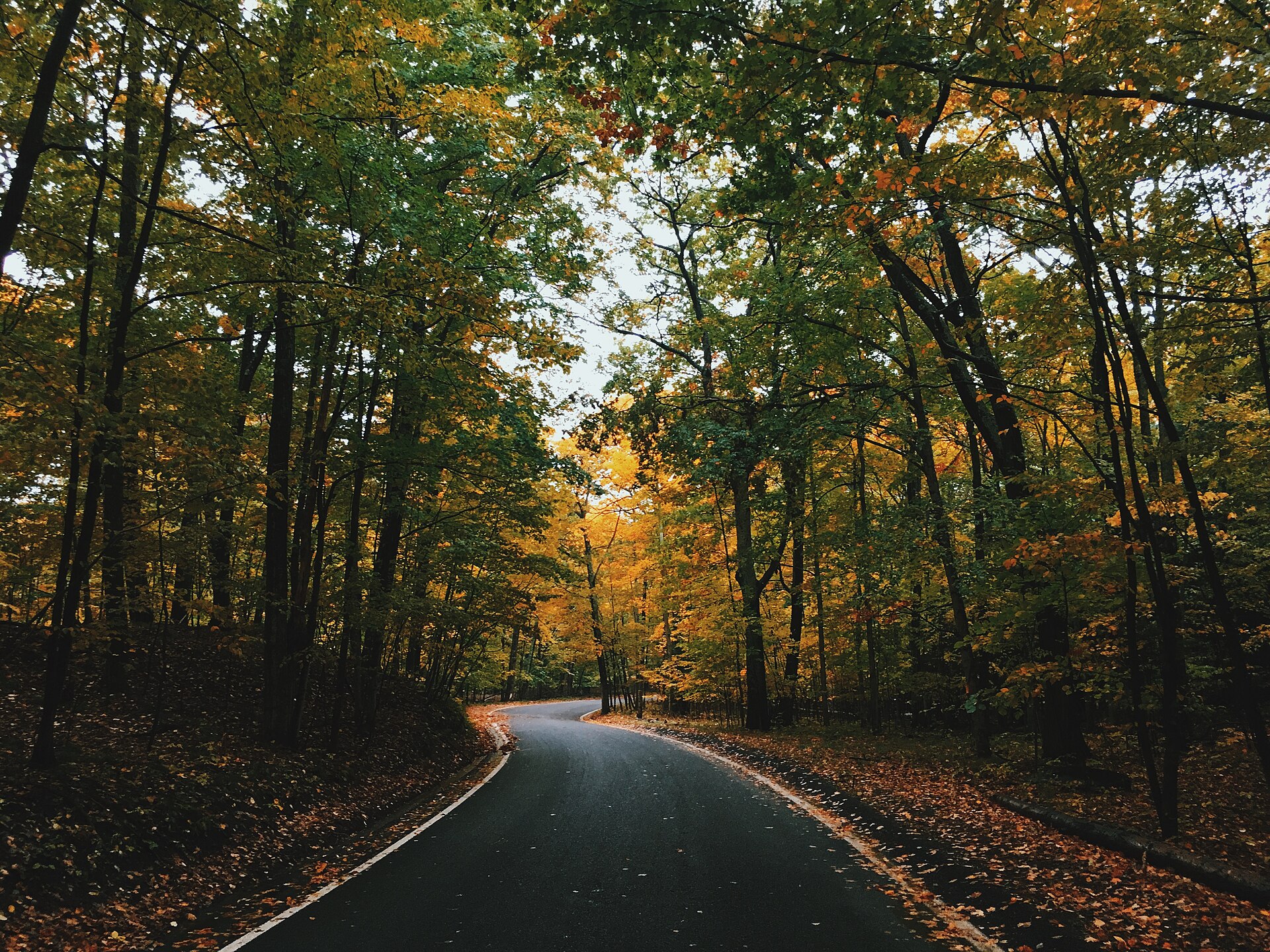 Fall colors in Northern Michigan